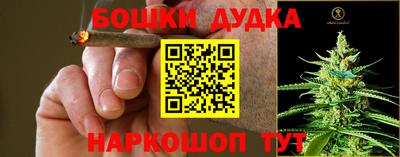 шишки Бузулук