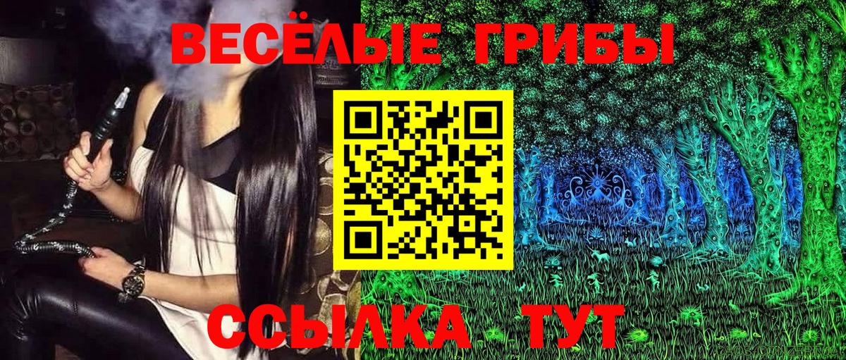 Галлюциногенные грибы Cubensis  Вход с VPN  Майкоп 